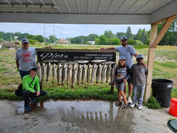 Discover Lake Michigan's Trout and Salmon Beauty!